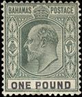 Colnect-560-377-King-Edward-VII.jpg