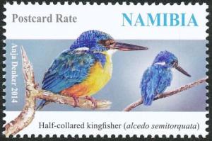 Colnect-2709-655-Half-collared-Kingfisher-Alcedo-semitorquata.jpg