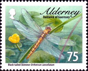 Colnect-5455-915-Black-tailed-Skimmer-Orthetrum-cancellatum-.jpg