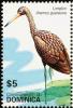 Colnect-5250-555-Limpkin-Aramus-guarauna.jpg