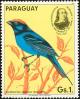 Colnect-1724-425-Blue-Manakin%C2%A0Chiroxiphia-caudata.jpg