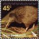 Colnect-1961-740-Kiwi-Apteryx-sp-.jpg