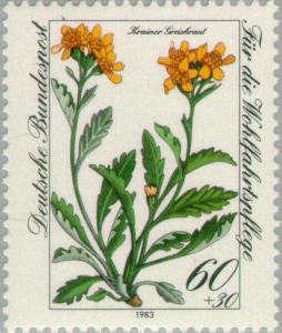 Colnect-153-361-Krain-Groundsel.jpg