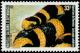 Colnect-853-963-Banded-Sea-Krait-Laticauda-colubrina.jpg