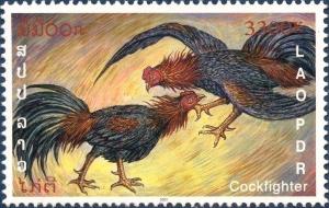 Colnect-2428-495-Fighting-Cocks-Gallus-gallus-domesticus.jpg