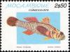 Colnect-1116-033-Brick-Goby-Gobius-inhaca.jpg