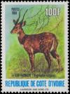 Colnect-2014-783-Bushbuck-Tragelaphus-scriptus.jpg