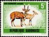 Colnect-2526-941-Bushbuck-Tragelaphus-scriptus-.jpg