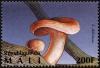 Colnect-2607-002-Saffron-Milk-Cap-Lactarius-deliciosus.jpg