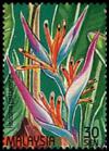 Colnect-4145-588-Stamp-Week--Heliconia-psittacorum.jpg