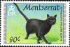 Colnect-5880-126-Black-British-Shorthair.jpg