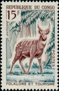 Colnect-992-386-Bushbuck-Tragelaphus-scriptus.jpg