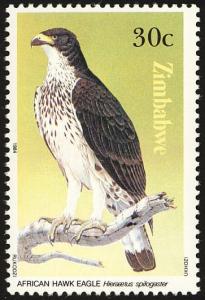 Colnect-1476-706-African-Hawk-eagle-Aquila-spilogaster.jpg