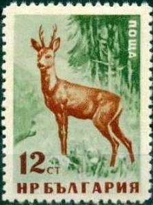 Colnect-867-182-Roebuck-Capreolus-capreolus.jpg