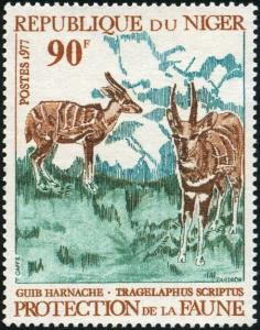 Colnect-3532-403-Bushbuck-Tragelaphus-scriptus.jpg