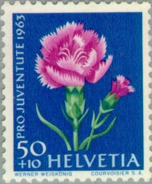 Colnect-140-232-Clove-Pink-Dianthus-caryophyllus.jpg