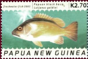 Colnect-2377-451-Papuan-Black-Snapper-Lutjanus-goldiei.jpg