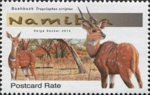 Colnect-3065-071-Bushbuck-Tragelaphus-scriptus.jpg