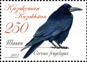 Colnect-3595-490-Rook-Corvus-frugilegus.jpg