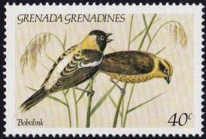 Colnect-4024-098-Bobolink-Dolichonyx-oryzivorus.jpg