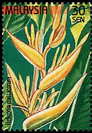 Colnect-4145-583-Stamp-Week--Heliconia-psittacorum.jpg