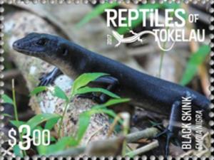 Colnect-4337-265-Black-Skink-Emoia-nigra.jpg