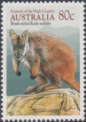 Colnect-5033-089-Brush-tailed-Rock-wallaby-Petrogale-penicillata.jpg