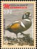 Colnect-1620-630-Harlequin-Duck%C2%A0Histrionicus-histrionicus.jpg