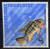 Colnect-1650-071-Redbelly-Tilapia-Tilapia-melanopleura.jpg