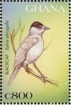 Colnect-1718-851-Eurasian-Blackcap-Sylvia-atricapilla.jpg