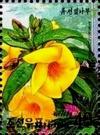 Colnect-2382-942-Allamanda-neriifolia.jpg