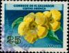 Colnect-2418-924-Allamanda-cathartica.jpg