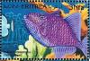 Colnect-5191-422-Black-Triggerfish.jpg