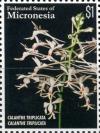 Colnect-5812-429-Calanthe-triplicata.jpg