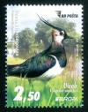 Colnect-5826-074-Northern-Lapwing-Vanellus-vanellus.jpg