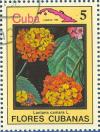 Colnect-674-920-Lantana-camara.jpg