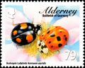 Colnect-5562-471-Harlequin-Ladybird-Harmonia-axyridis.jpg