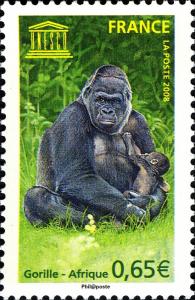 Colnect-587-228-Mountain-Gorilla-Gorilla-beringei-beringei.jpg