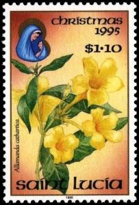 Colnect-2906-217-Allamanda-cathartica.jpg