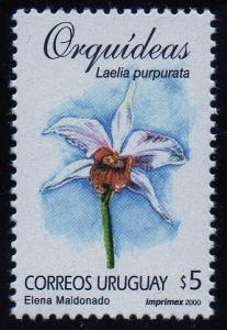 Colnect-1300-671-Laelia-purpurata.jpg