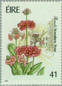 Colnect-129-019-Primula--Rowallene-Rose-.jpg