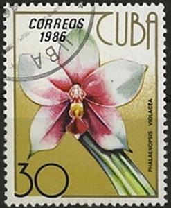 Colnect-3193-624-Phalaenopsis-violacea.jpg