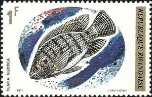 Colnect-1542-721-Nile-Tilapia-Tilapia-nilotica.jpg