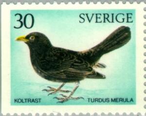 Colnect-163-963-Common-Blackbird-Turdus-merula.jpg