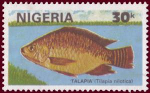 Colnect-1729-313-Nile-Tilapia-Tilapia-nilotica-.jpg