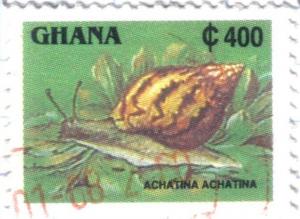 Colnect-1939-307-Giant-Tiger-Land-Snail-Achatina-achatina.jpg