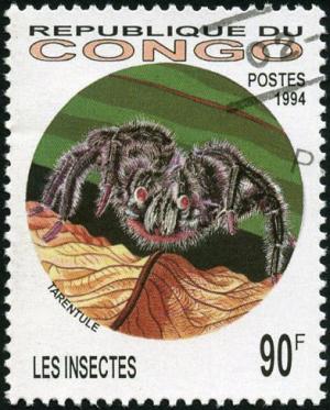 Colnect-2034-596-Tarantula-Family-Theraphosidae.jpg