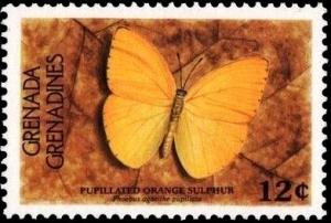 Colnect-2236-512-Pupillated-orange-sulphur.jpg