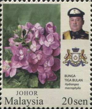 Colnect-3241-395-Hydrangea-macrophylla-with-portrait-of-Sultan-Ibrahim.jpg