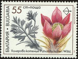 Colnect-3579-617-Medicinal-Plants---Pulsatilla-halleri.jpg